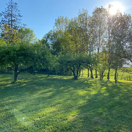 Privat bolig Ferme De St-jean Saint-Jean-sur-Reyssouze