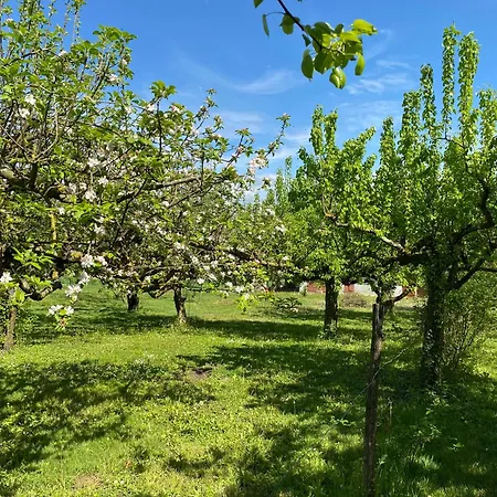Проживание в семье Ferme De St-jean